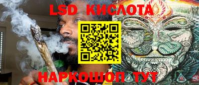 PSILOCYBIN Майкоп