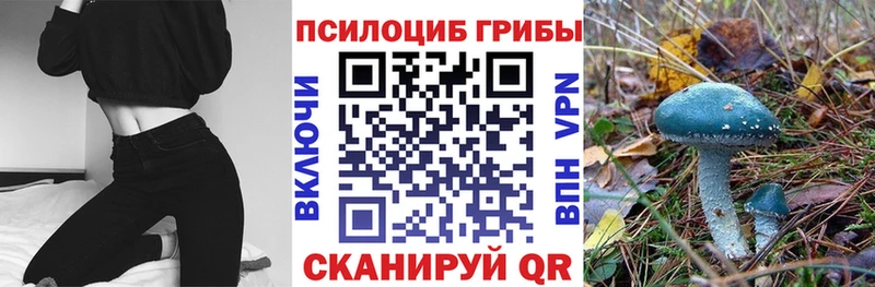 даркнет официальный сайт  где можно купить наркотик  Сызрань  Галлюциногенные грибы мицелий 