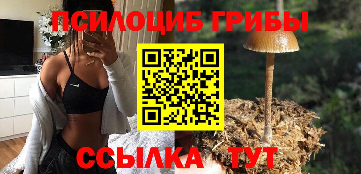 Псилоцибиновые грибы прущие грибы  Псилоцибиновые грибы ЛСД  Вход с VPN  Сызрань 