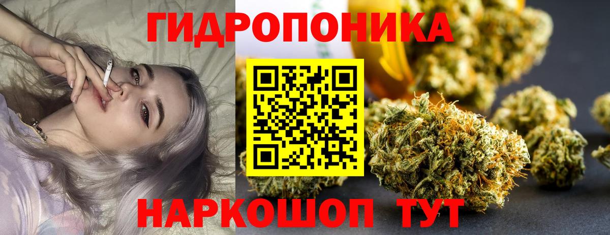 Бошки марихуана семена Сызрань